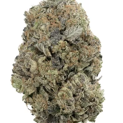 Super Platinum Bubba Kush